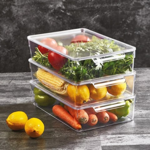 Pojemnik do Lodówki z Pokrywką 32,5 x 20 x 7,5 cm ORION Przezroczysty