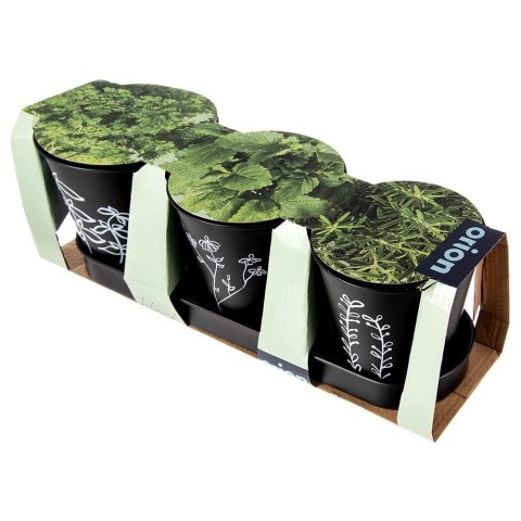 Zestaw Doniczek na Zioła ORION BLACKLINE 4 el. Metalowy z Podstawką