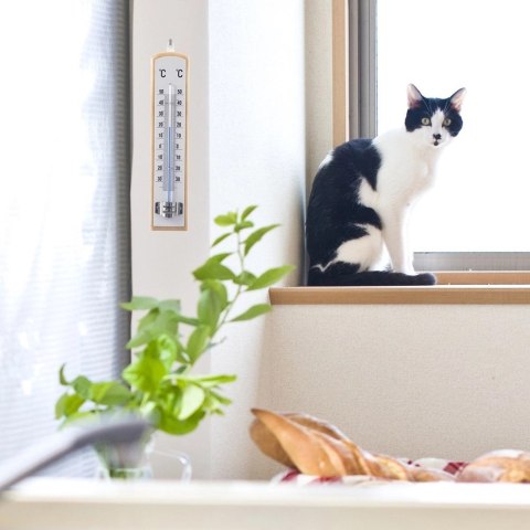 Termometr Uniwersalny Drewniany Biały ORION 21 cm do Wewnątrz i Zewnątrz