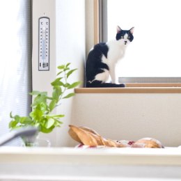 Termometr Uniwersalny Drewniany Szary ORION 21 cm Zewnętrzny