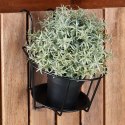 Uchwyt Balkonowy na Doniczkę Metalowy 24 x 18 cm VILDE do Balustrad 5 cm
