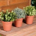 Zestaw Doniczek Okrągłych PROGARDEN 13 cm 3 szt. Ceglane Dekoracyjne