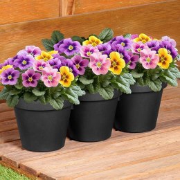 Doniczka Ogrodowa Potrójna VILDE 39,5 cm Czarna na Zioła i Kwiaty