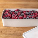 Pojemnik na Żywność Lunchbo x 2 L ORION Szczelny Mrożenie 27 x 15,5 cm