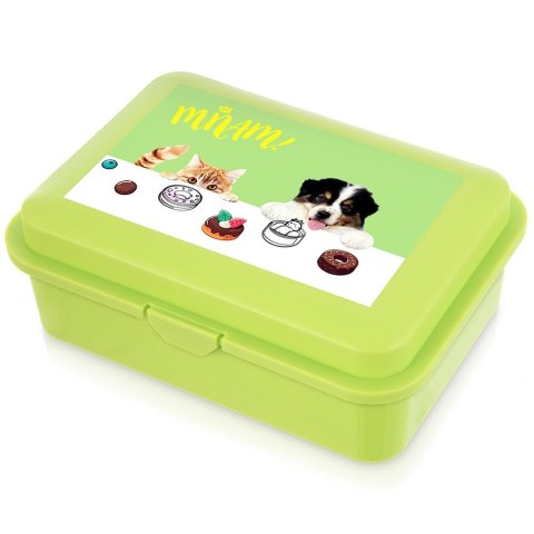 Pojemnik Lunchbox Śniadaniowy 750 ml ORION Zmywarka Mikrofala 18 x 13 cm