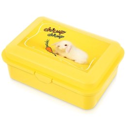 Pojemnik Lunchbox Śniadaniowy 750 ml ORION Zmywarka Mikrofala 18 x 13 cm