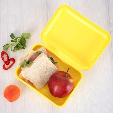Pojemnik Lunchbox Śniadaniowy 750 ml ORION Zmywarka Mikrofala 18 x 13 cm