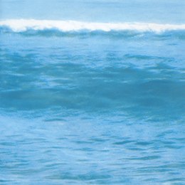 Zasłona prysznicowa haczyki wodoodporna plaża 180x180 cm