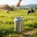 Kanka na Mleko Pojemnik Stalowy z Pokrywką i Uchwytem Srebrny 7,5 L VILDE