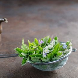Sitko Kuchenne Stal Nierdzewna Uchwyt do Ziół Mąki 12 cm Zmywarka ORION