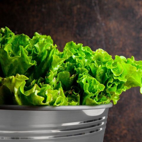 Wiadro Stalowe Nierdzewne 12 L ORION Ogrodowe Wielofunkcyjne 31 x 27 cm