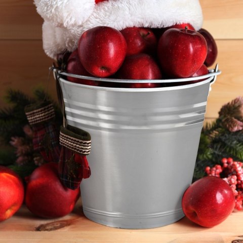 Wiadro Stalowe Nierdzewne 12 L ORION Ogrodowe Wielofunkcyjne 31 x 27 cm