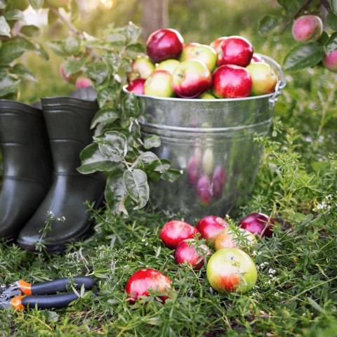 Wiadro Stalowe Nierdzewne 5 L ORION Praktyczny Uchwyt Odporne Korozję