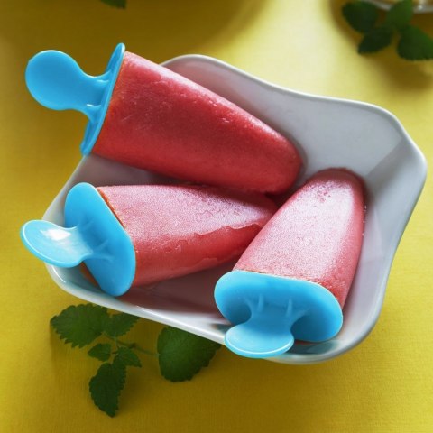 Zestaw Foremki do Lodów z Patyczkami Stojakiem Tradycyjne ORION 6 Porcji