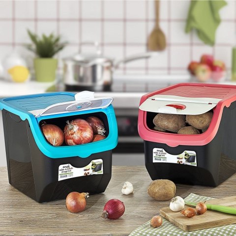Skrzynka Box Pudło na Warzywa Owoce Cebulę Ziemniaki ORION 12l do Spiżarni