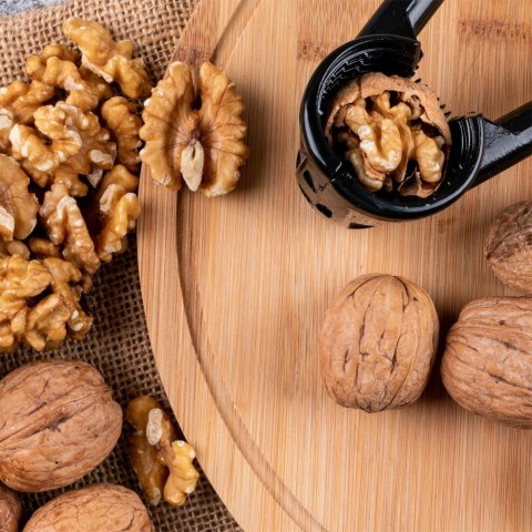 Dziadek do Orzechów EXCELLENT HOUSEWARE 18 cm Aluminiowy Czarny z Rowkami