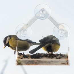 Karmnik budka dla ptaków na ziarno przezroczysty na szybę okno domek 15x15x6 cm