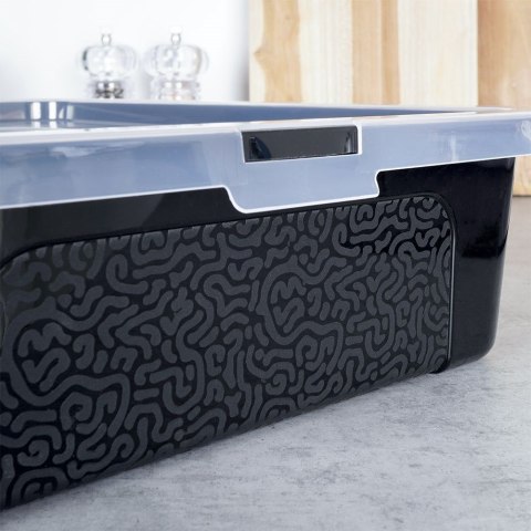 Pojemnik na Ciasto Wypieki Torty 10 L VILDE z Pokrywą 40 x 33 x 10 cm