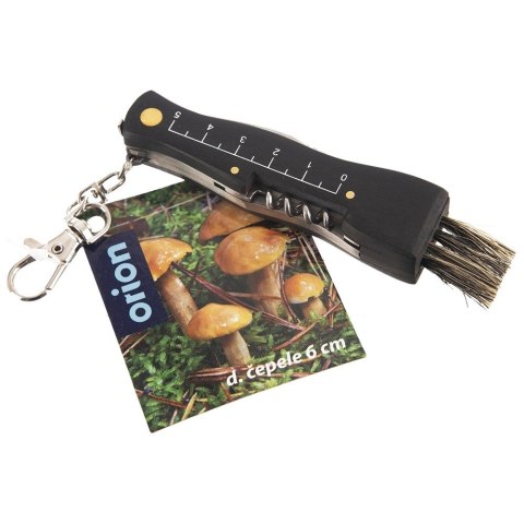 Nożyk do Grzybów Grzybobrania Stalowy z Pędzelkiem ORION 11,5x2,5x1,5 cm