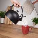 Czajnik na Gaz Indukcja z Gwizdkiem Stalowy Czarny Solidny Trwały VILDE 2 l