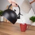 Czajnik na Gaz Indukcja z Gwizdkiem Stalowy Czarny Solidny Trwały VILDE 3 l