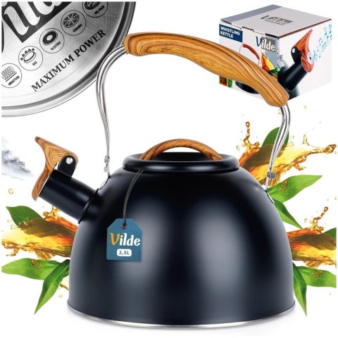 Czajnik z Gwizdkiem Stalowy Czarny na Gaz Indukcję Klasyczny VILDE 2, 5l