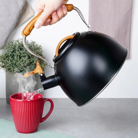 Czajnik z Gwizdkiem Stalowy Czarny na Gaz Indukcję Klasyczny VILDE 2, 5l