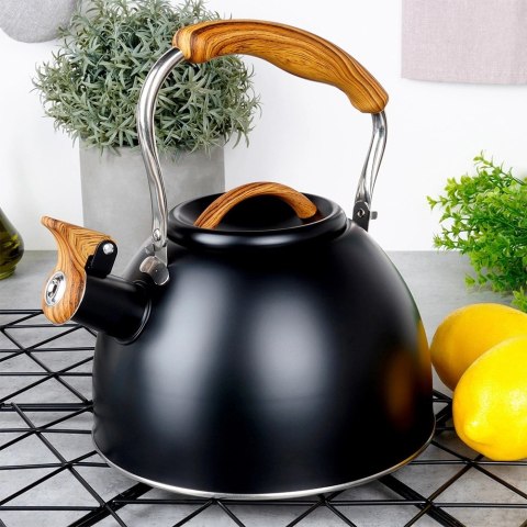 Czajnik z Gwizdkiem Stalowy Czarny na Gaz Indukcję Klasyczny VILDE 2, 5l